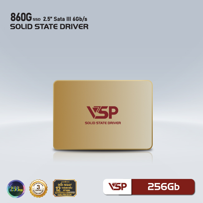SSD-256Gb_01